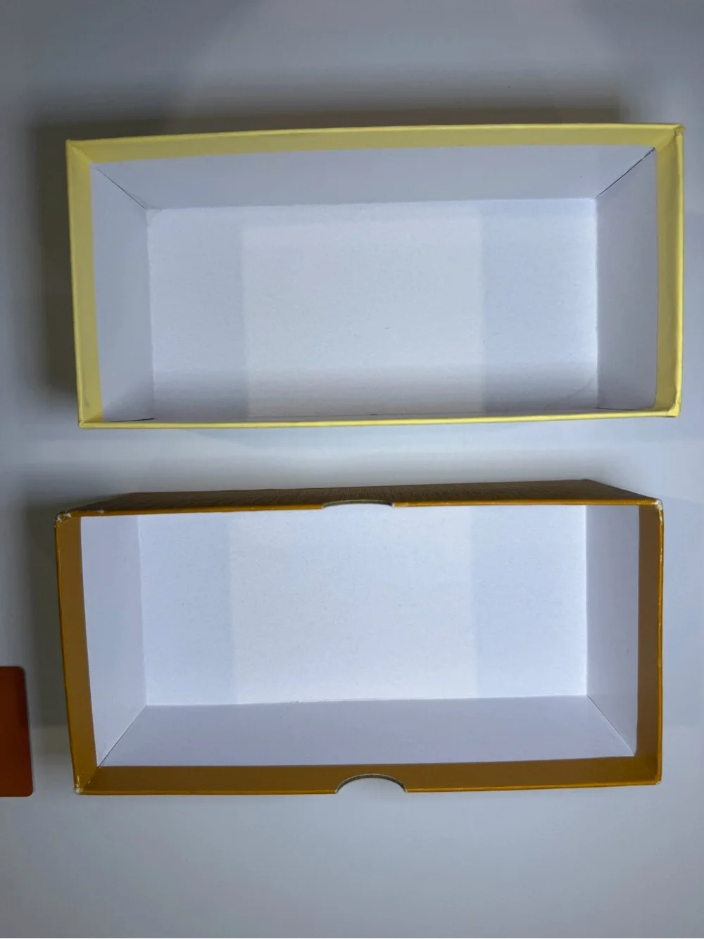 Clear/Gold Woman’s Eyeglasses with Case